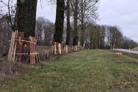 Rozbudowa drogi wojewódzkiej nr 655 na odcinku Mazuchówka - Olecko